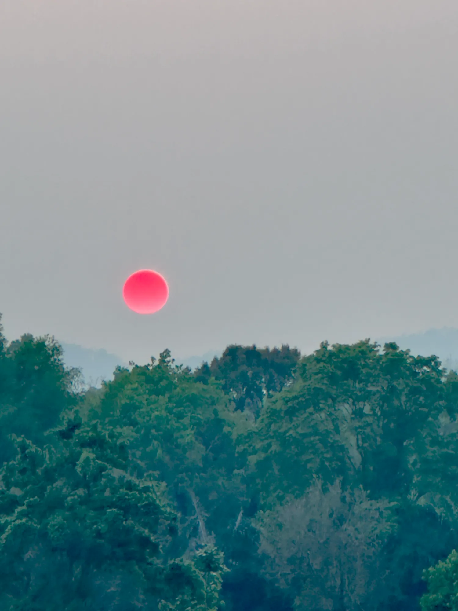 Red sun through burn-season haze