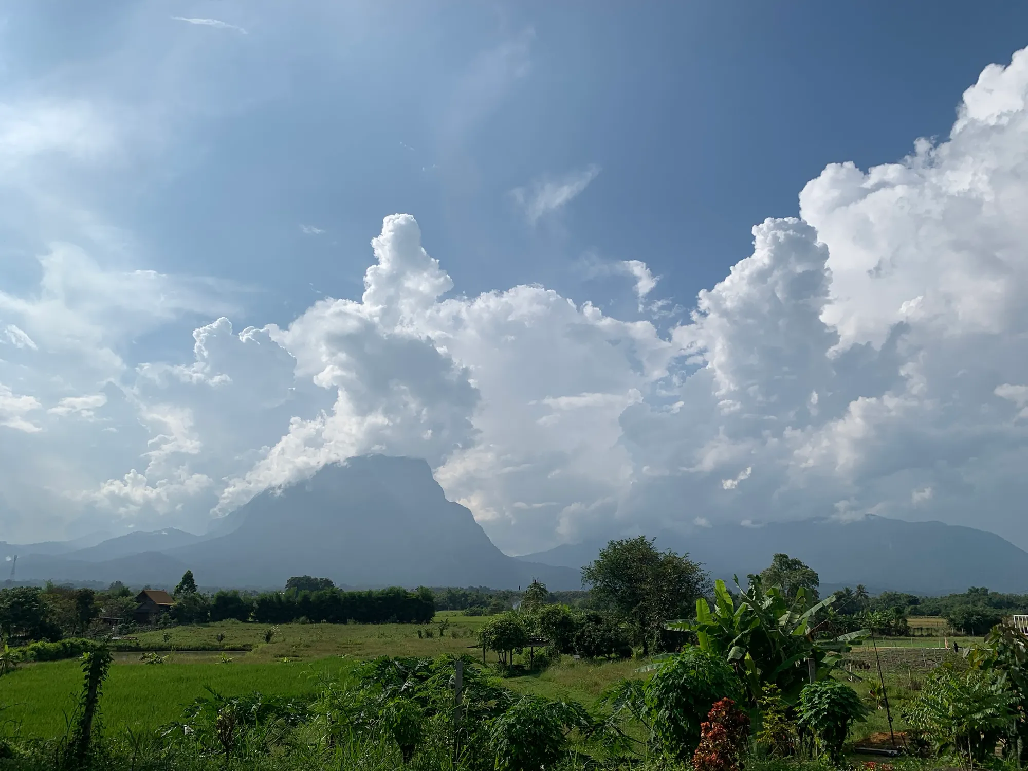 Chiang Dao landscape