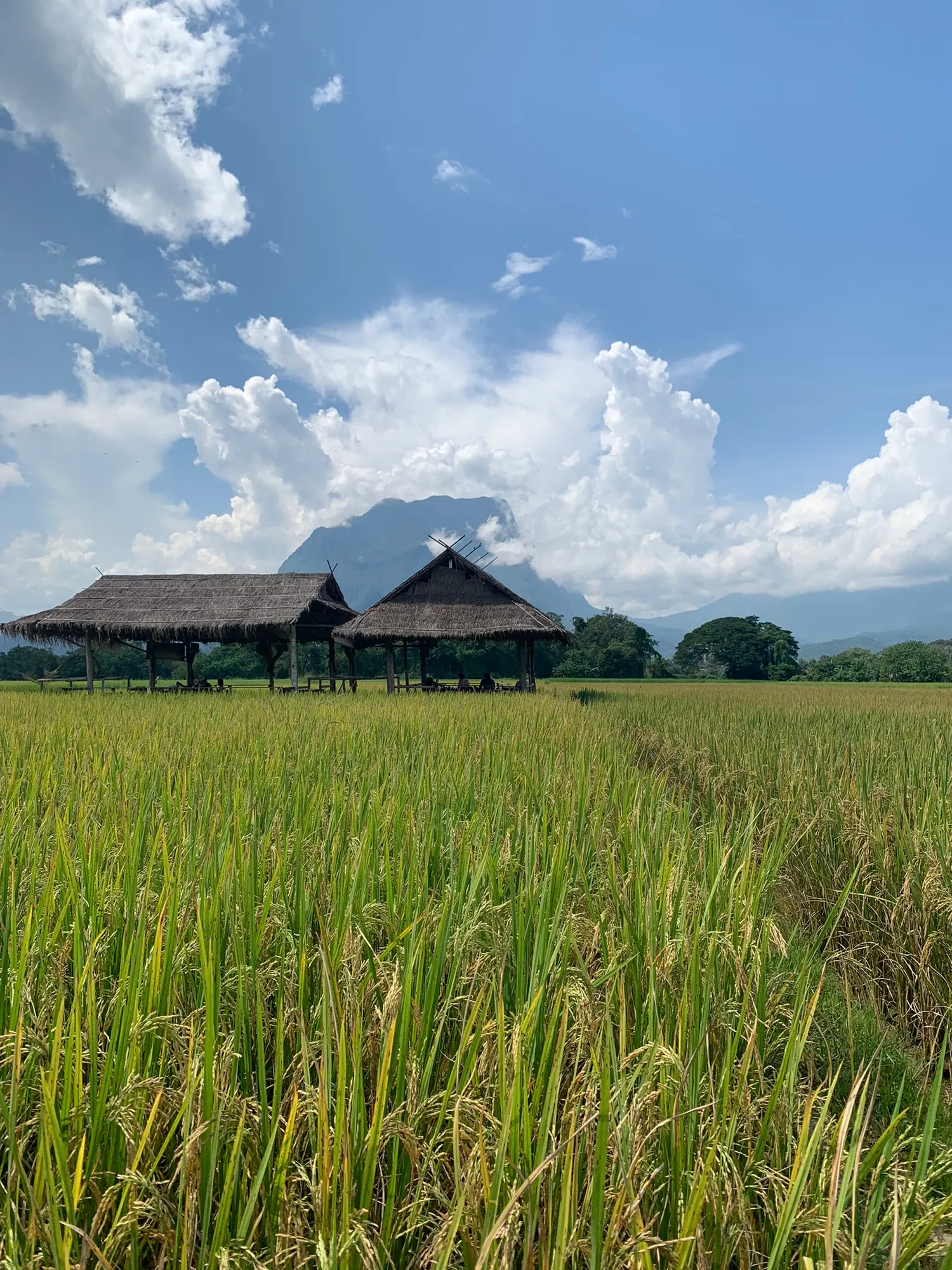 Chiang Dao