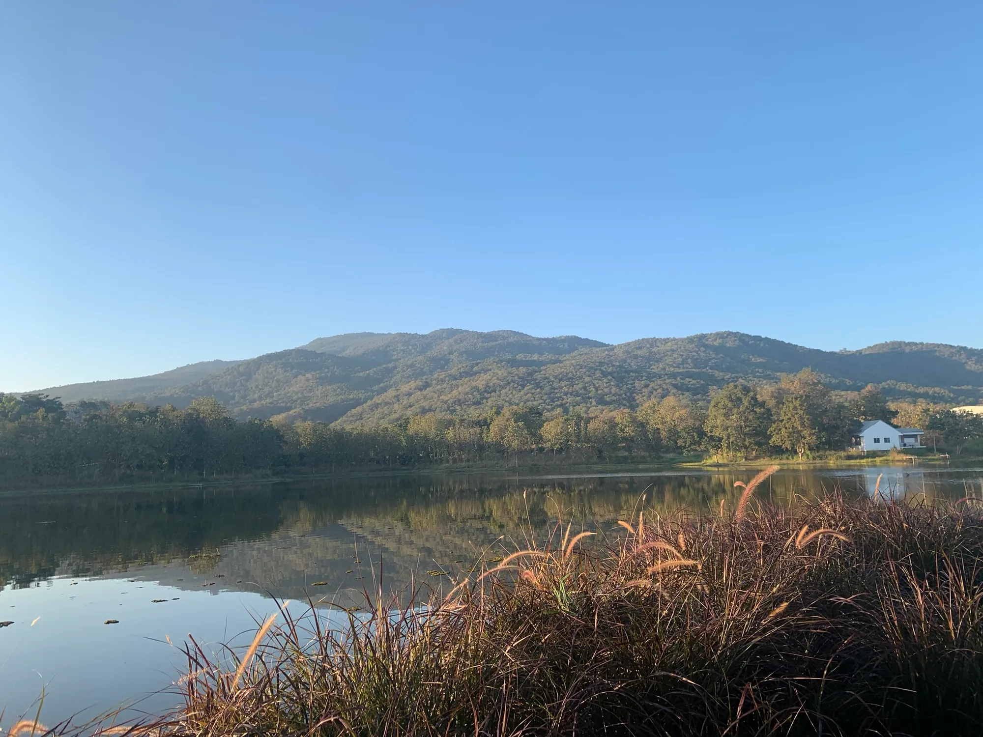 Lake near Chiang Mai
