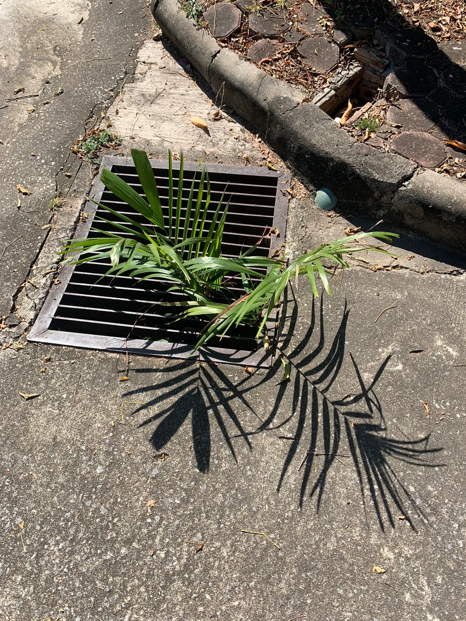 A Chiang Mai quirk