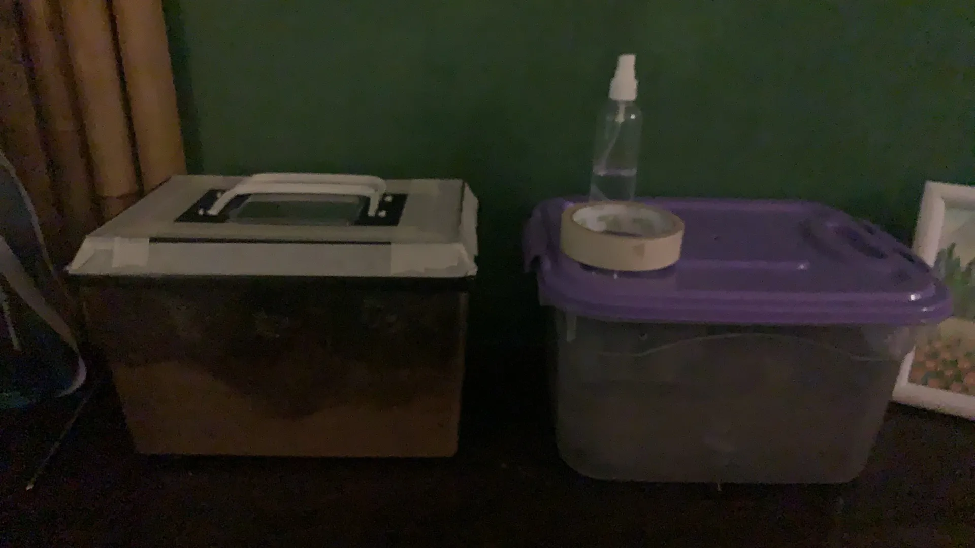 The tarantula enclosures